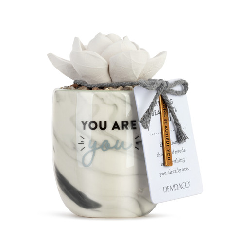 Succulent Oil Diffuser - You are You slide 