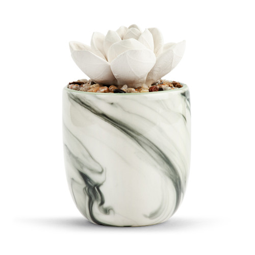 Succulent Oil Diffuser - You are You slide 