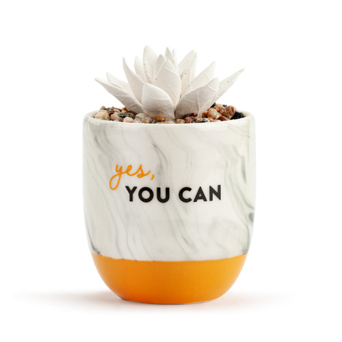 Succulent Oil Diffuser - Yes, You Can slide 