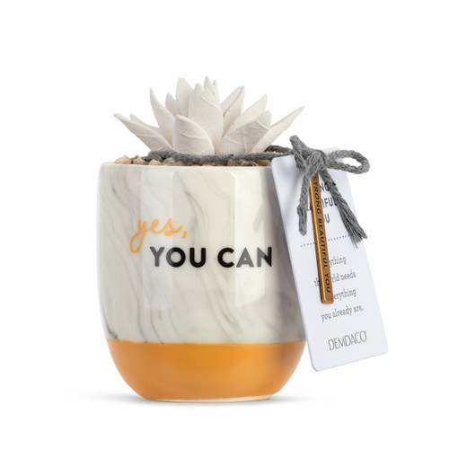 Succulent Oil Diffuser - Yes, You Can slide 
