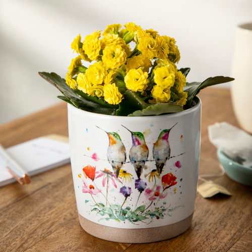 Wildflowers & Friends Planter w/ Journal Set slide 