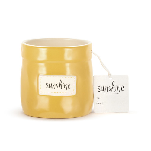 Plant Kindness Cachepot - Sunshine slide 