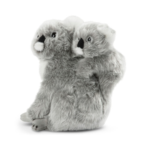 Koala & Baby slide 