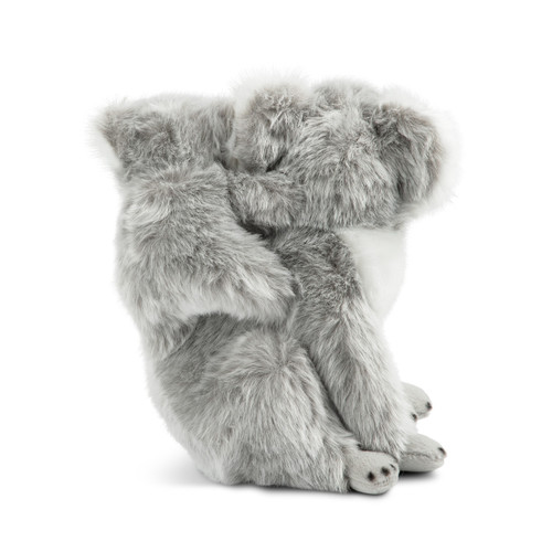 Koala & Baby slide 