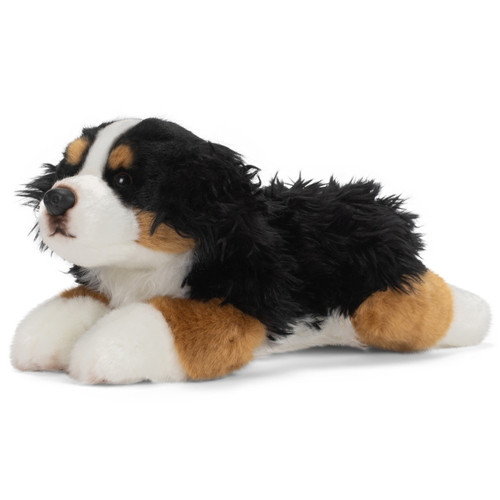 Bernese Mountain Dog slide