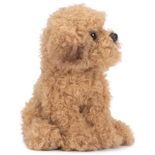 Labradoodle slide 