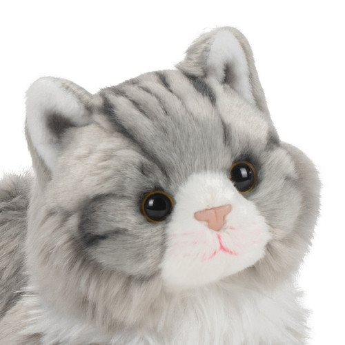 Maine Coon Cat slide 