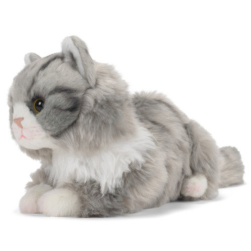 Maine Coon Cat slide 