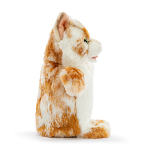 Maine Coon Cat Puppet slide 