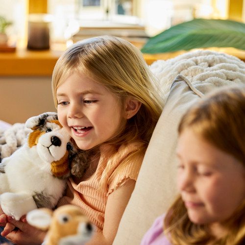 Australian Shepherd Small slide 