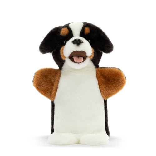 Bernese Mountain Dog Puppet slide 