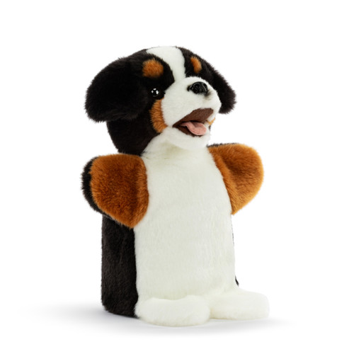 Bernese Mountain Dog Puppet slide 