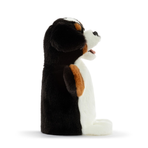 Bernese Mountain Dog Puppet slide 