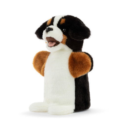 Bernese Mountain Dog Puppet slide 