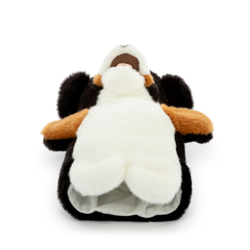 Bernese Mountain Dog Puppet slide 