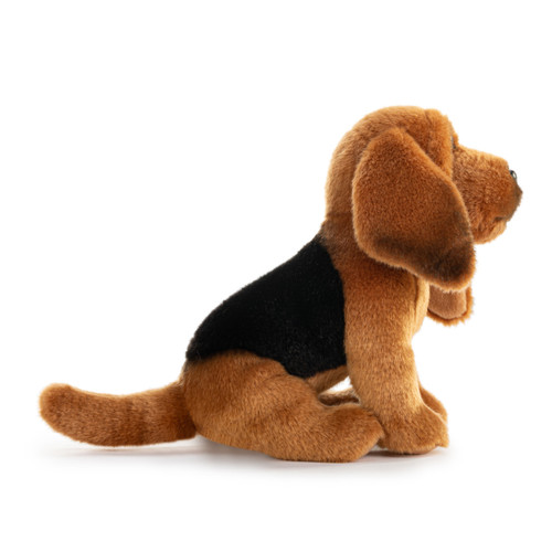 Bloodhound Small slide 