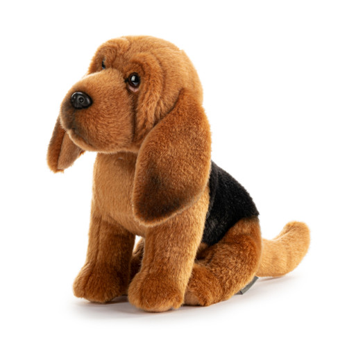 Bloodhound Small slide 
