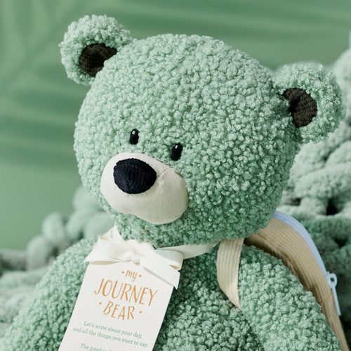 My Journey Bear slide 