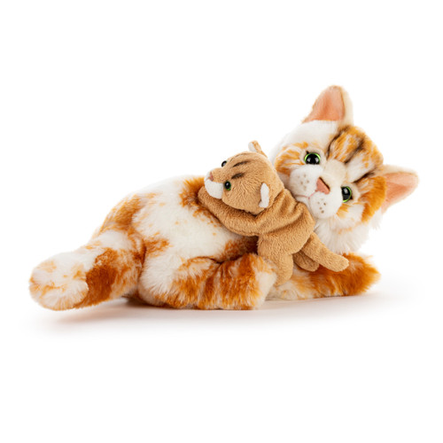 Maine Coon Cat and Baby slide 