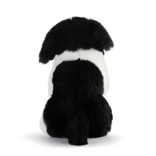 Havanese Beanbag slide 