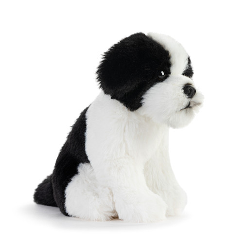 Havanese Beanbag slide 