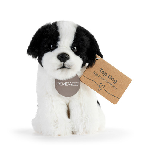Havanese Beanbag slide 