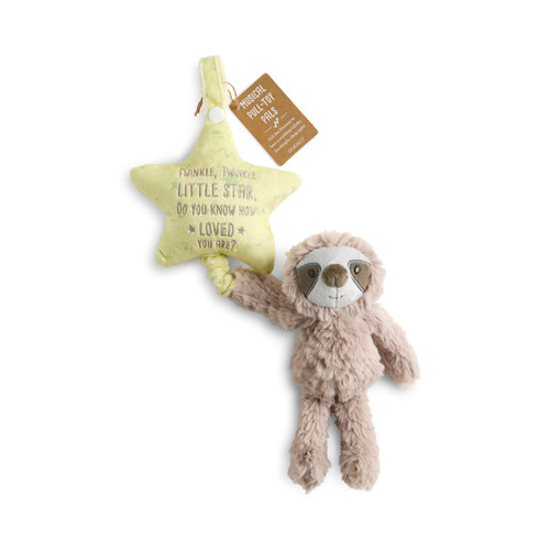 Musical Pull Toy - Sloth slide 