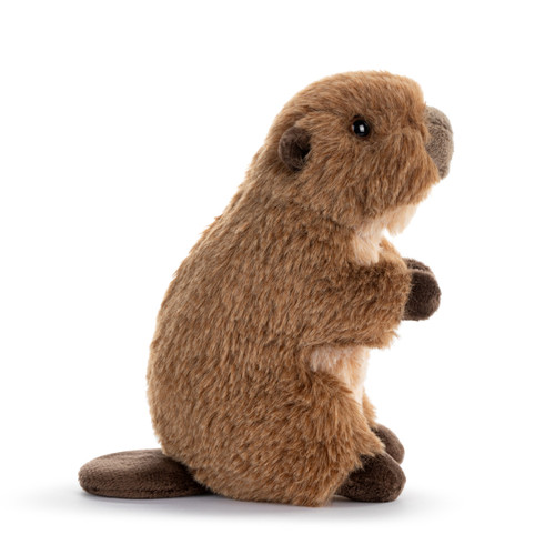 Beaver Beanbag slide 