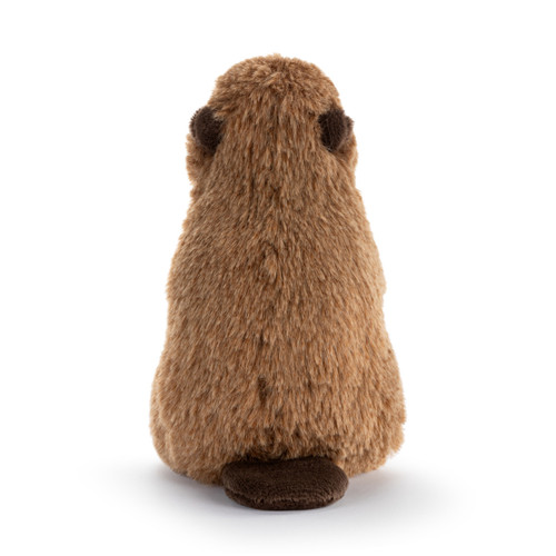 Beaver Beanbag slide 