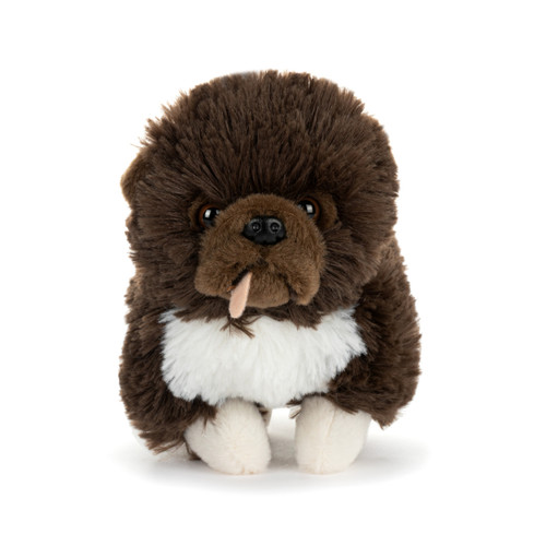 Chow Chow Mix Scruffy Beanbag slide 