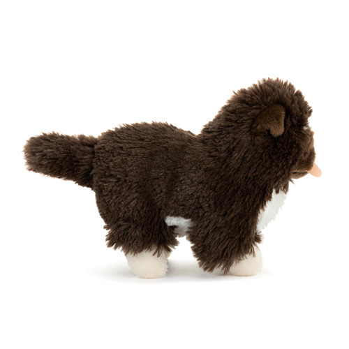 Chow Chow Mix Scruffy Beanbag slide 