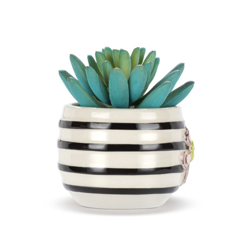 Mini Succulent - Flower slide