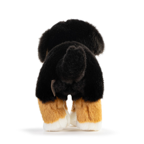 Bernese Mountain Dog Small slide 