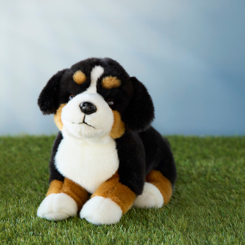 Bernese Mountain Dog Small slide 