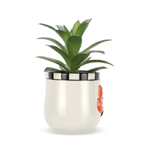 Mini Succulent - Butterfly slide 