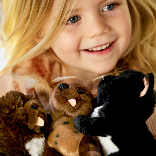 Brussels Griffon Mix Scruffy Beanbag slide 