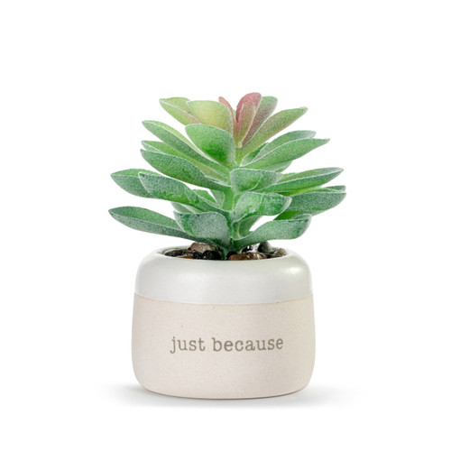 Blessed Just Because Mini Succulent slide 