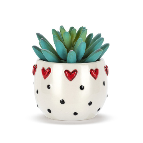 Mini Succulent - Mini Hearts slide 