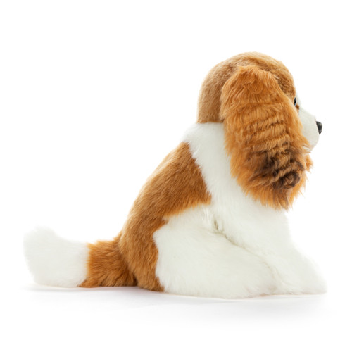 Cavalier King Charles Small slide 
