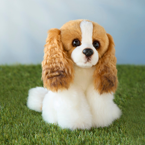 Cavalier King Charles Small slide 