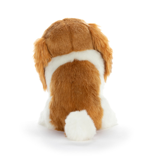 Cavalier King Charles Small slide 