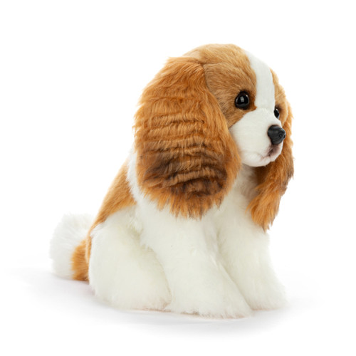 Cavalier King Charles Small slide 