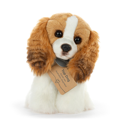Cavalier King Charles Small slide 