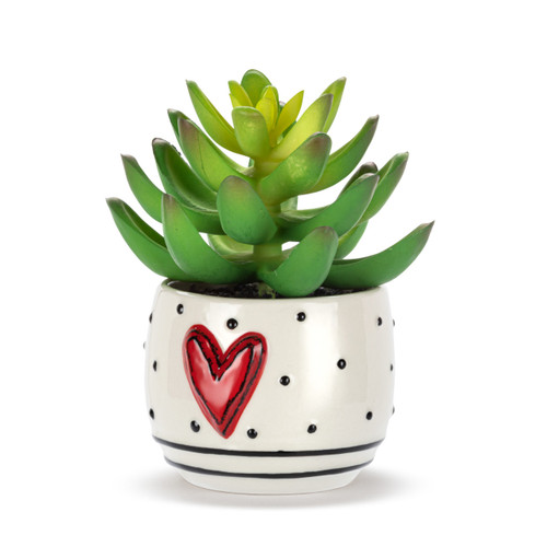 Mini Succulent - Heart & Dots slide 