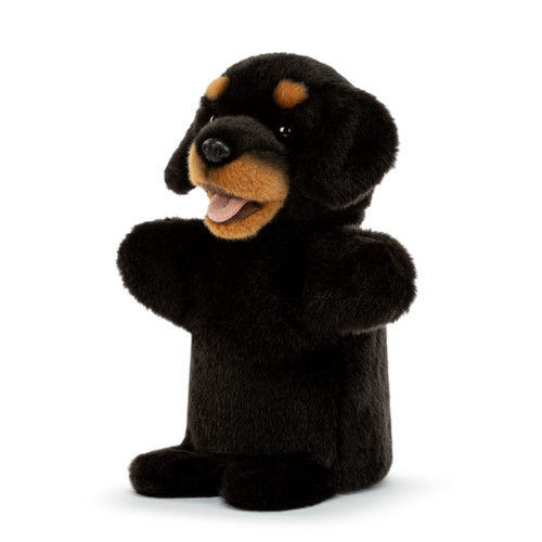 Rottweiler Puppet slide 