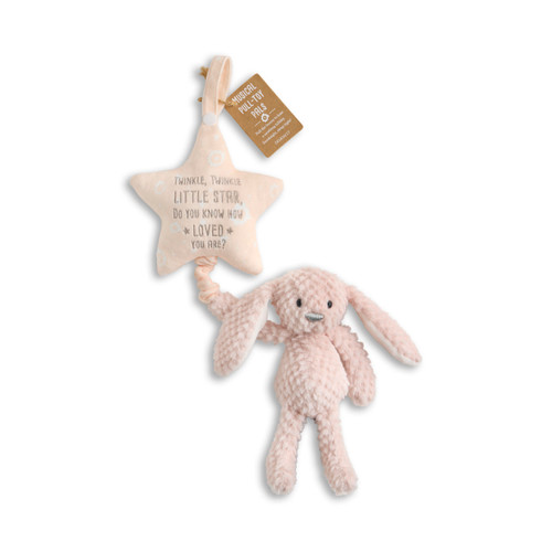 Musical Pull Toy - Bunny slide 