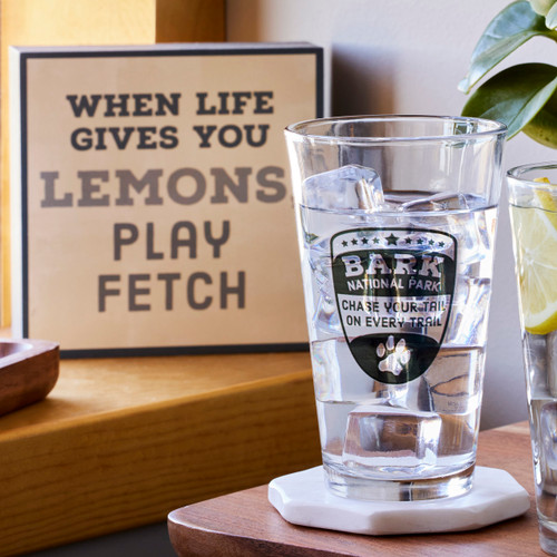 Play Fetch Wall Art - 10"sq. slide 