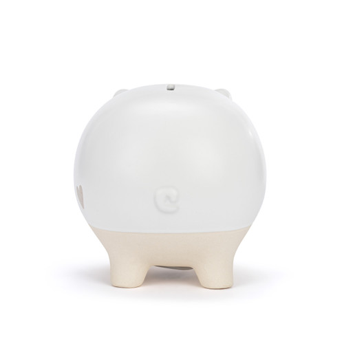Piggy Bank - Neutral slide 