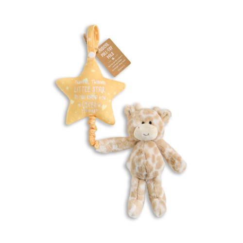 Musical Pull Toy - Giraffe slide 