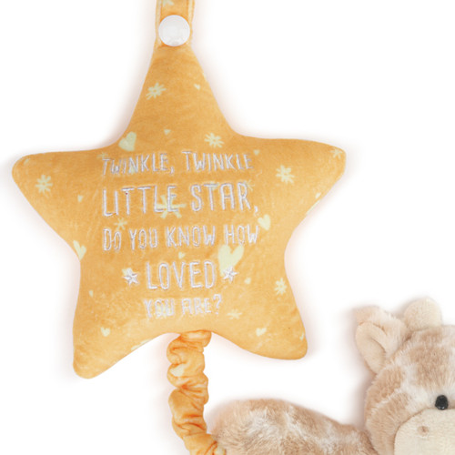 Musical Pull Toy - Giraffe slide 